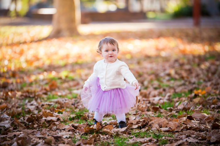 " Violet First Birthday Portrait |Tamworth Child Portrait Photographer"