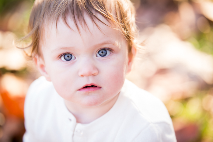 " Violet First Birthday Portrait |Tamworth Child Portrait Photographer"