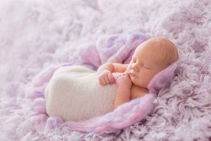 newborn baby pose on purple flokati, tamworth nsw newborn photographer