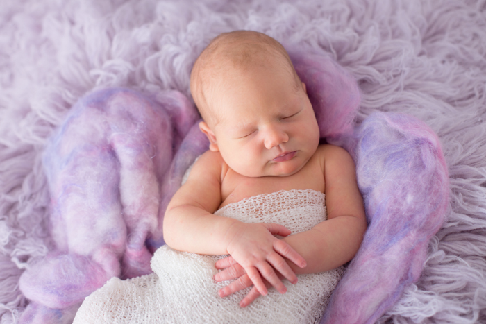 tamworth nsw newborn photographer