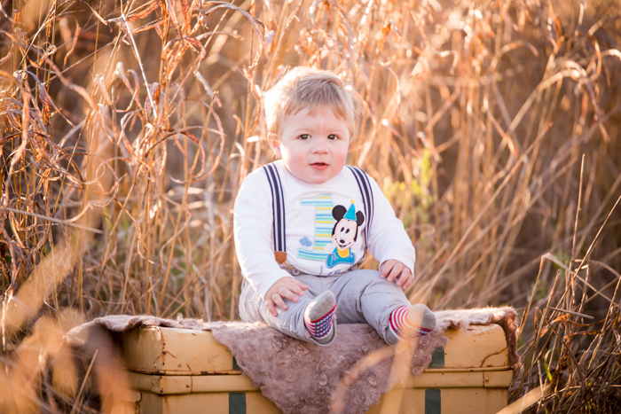 long grass sunset first birthday photography, tamworth baby photographer