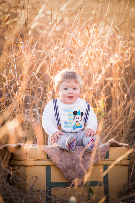 first birthday photography, tamworth baby photographer