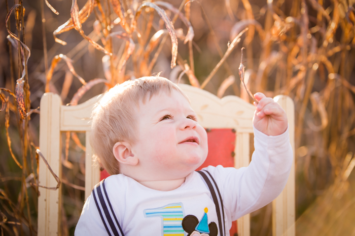 first birthday photography, tamworth baby photographer