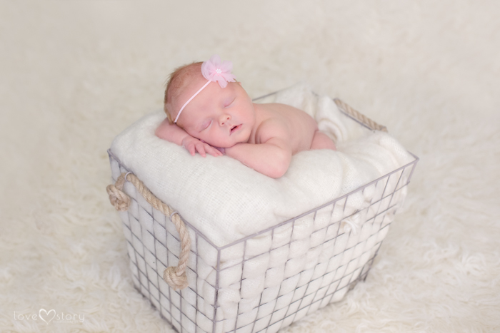 Studio Newborn Photography Session Tamworth NSW Portrait Photographer