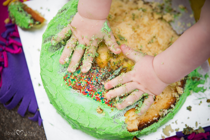 Tamworth Portrait Photography Cake Smash Session (11)